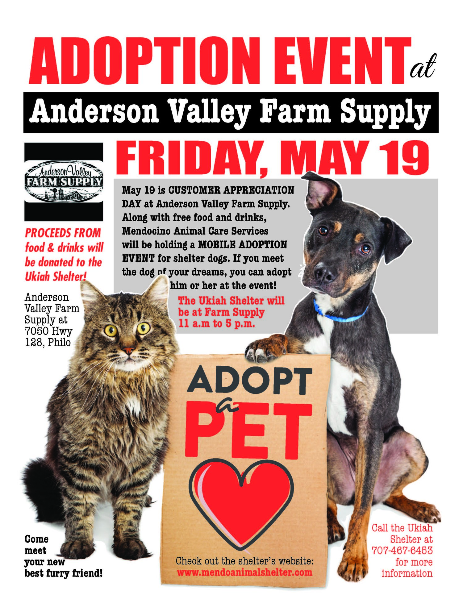 Boonville+XXadopt+event