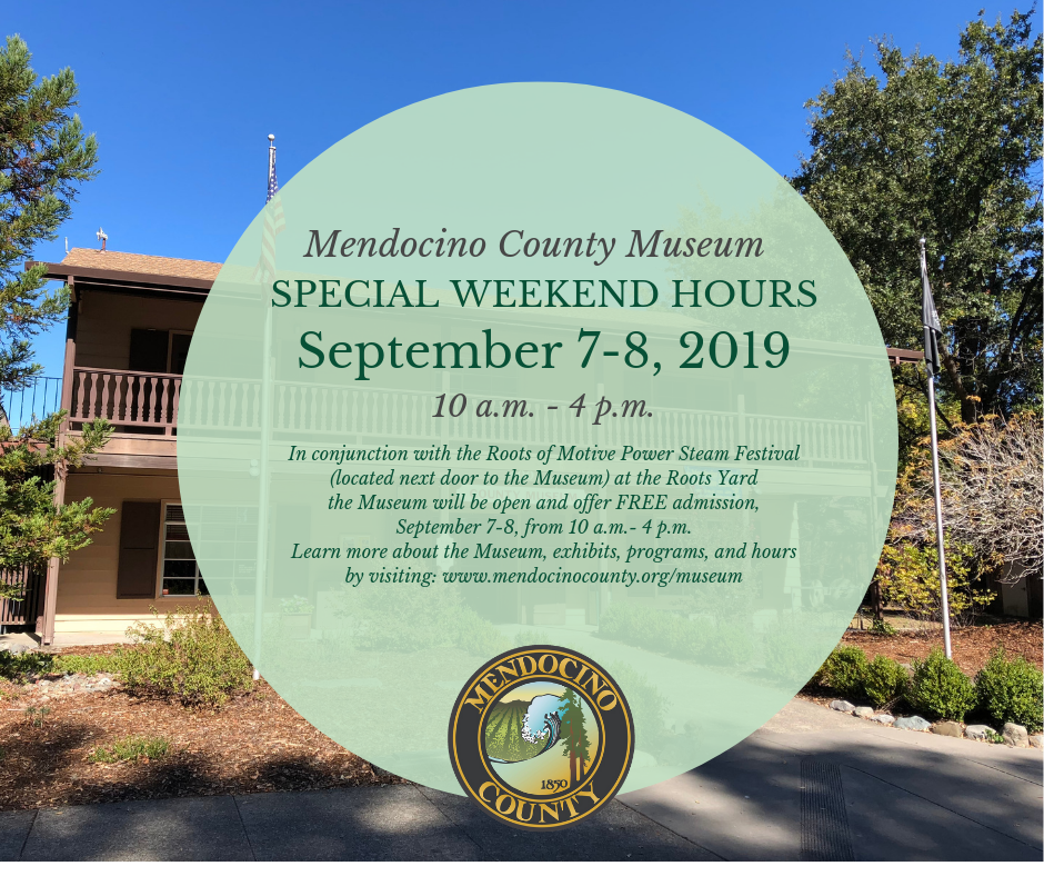 Steam Up Special Hours 