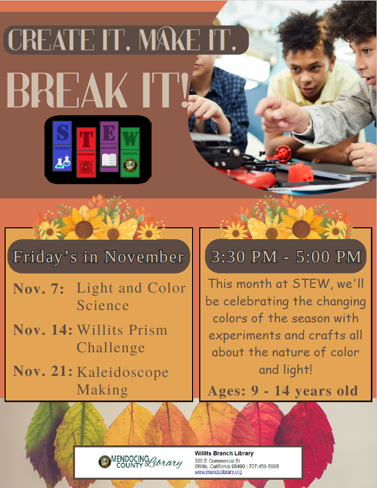 STEWflyerNovember25